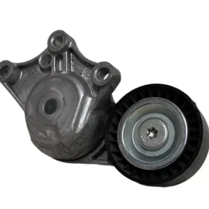 PULEGGIA TENDICINGHIA (CINGHIA SERVIZI) PEUGEOT 308 1.6 D 2015 - 1631481580