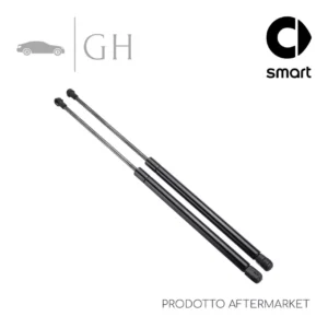 COPPIA MOLLE A GAS /PISTONCINI AMMORTIZZATORI LUNOTTO POST SMART FORTWO 453 2015 - A4539800064